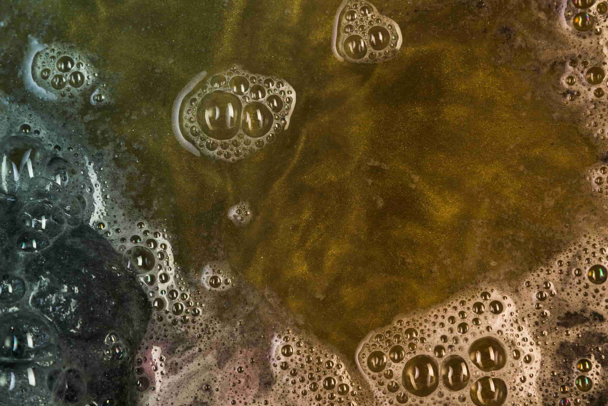 oil waste disposal